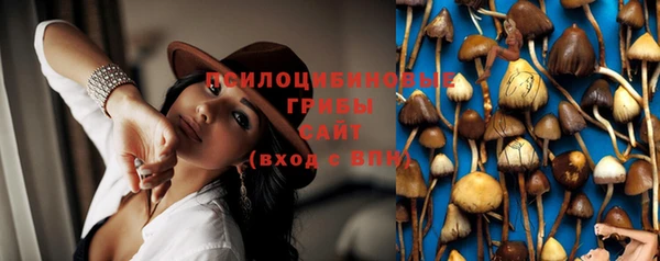 твердый Алзамай