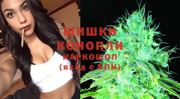 твердый Алзамай