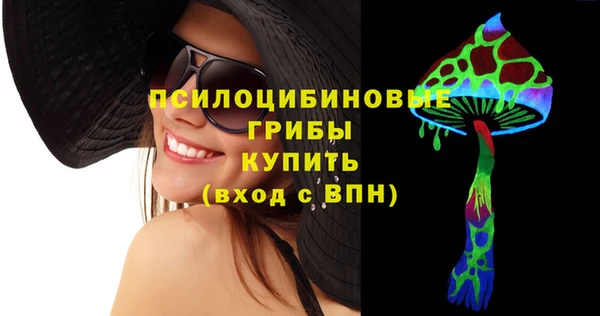 твердый Алзамай