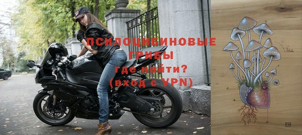 твердый Алзамай