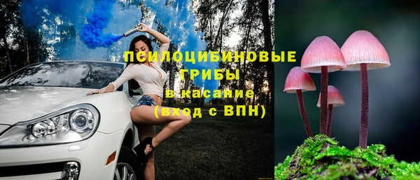 твердый Алзамай