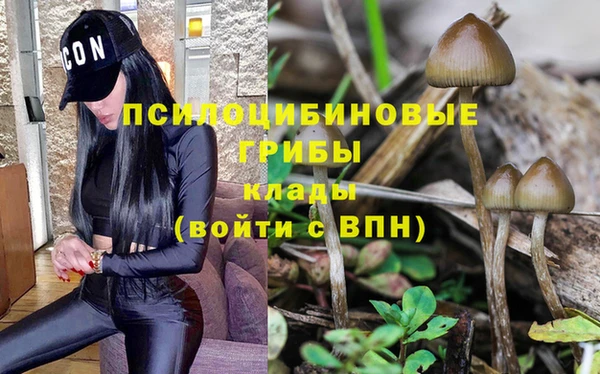 твердый Алзамай