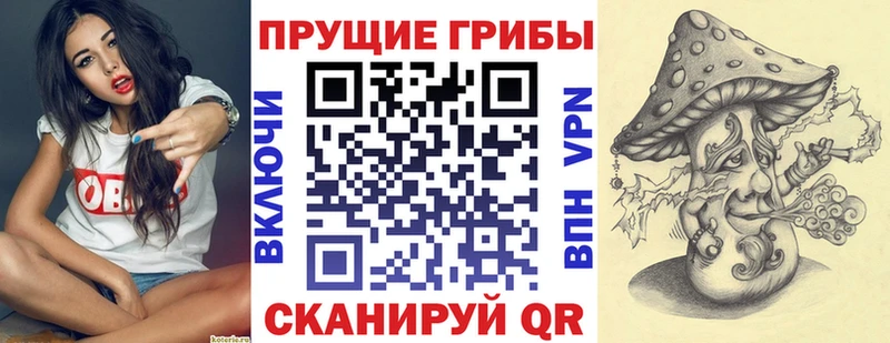 Галлюциногенные грибы Magic Shrooms  Пыталово 